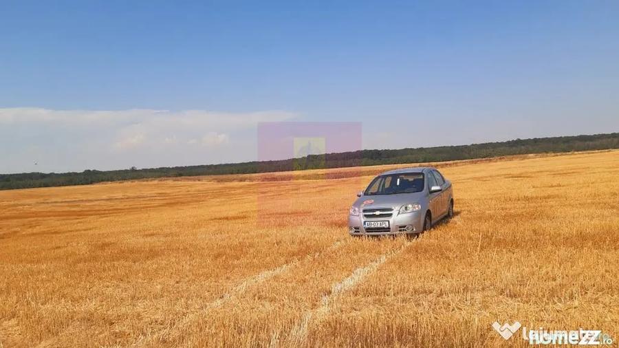 Teren de 2000 mp, în Brănești
