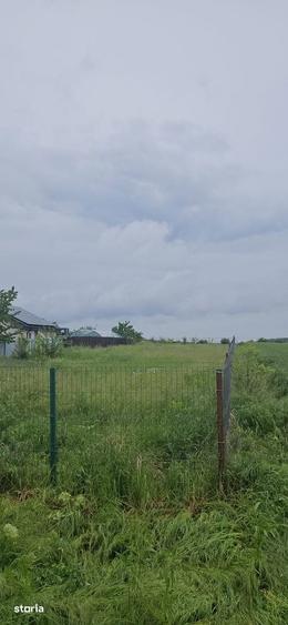 Teren de 1000 mp, în Moara Vlăsiei