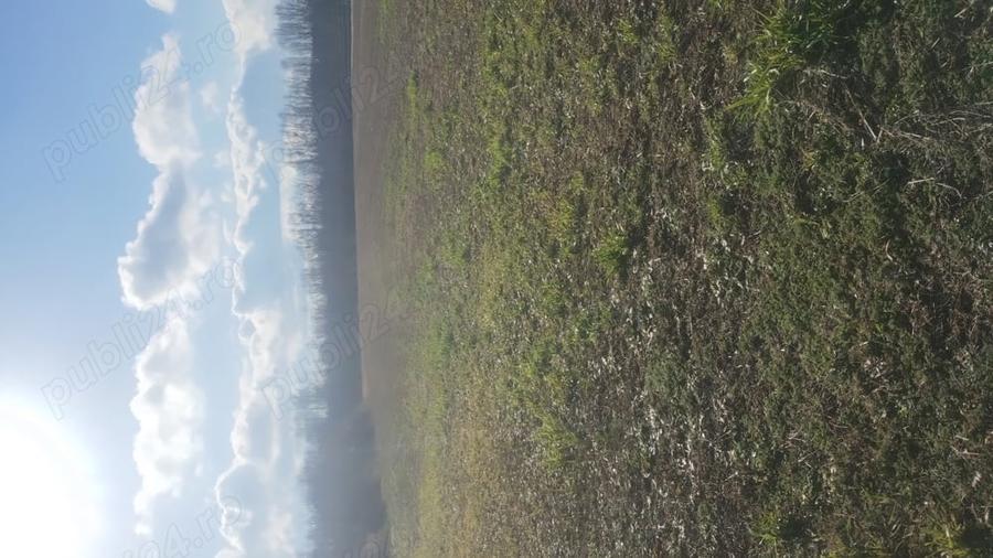 Teren de 6700 mp, în Gălețeanu