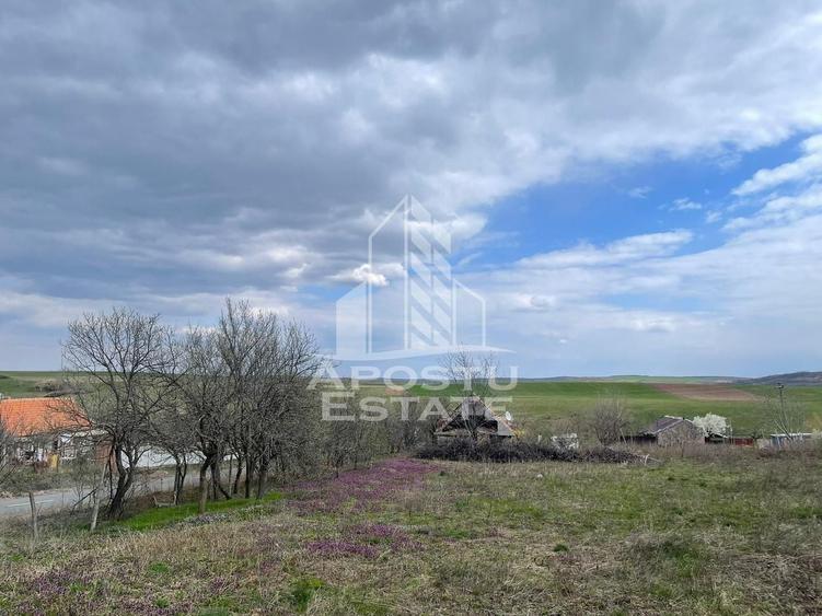 Teren Construcții intravilan de 2896 mp, în Herneacova
