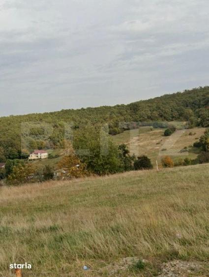 Teren de 1500 mp, în Central