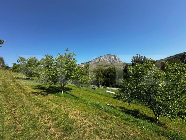 Teren Construcții extravilan de 1800 mp, în Vălișoara