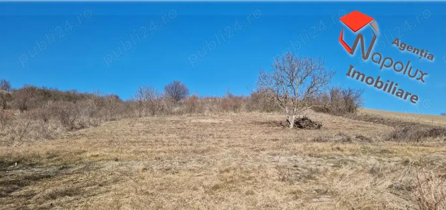 Teren de 1400 mp, în Cojocna