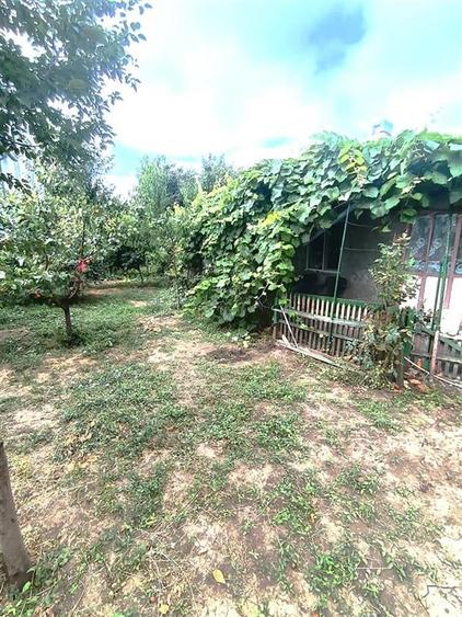 Casa Brailita-Vidin, 4 camere, Teren 573 mp - 12