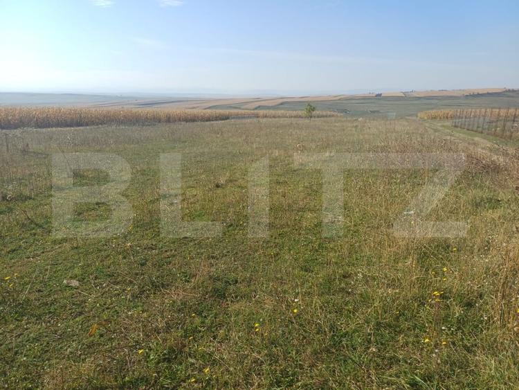 Teren Construcții extravilan de 800 mp, în Moara