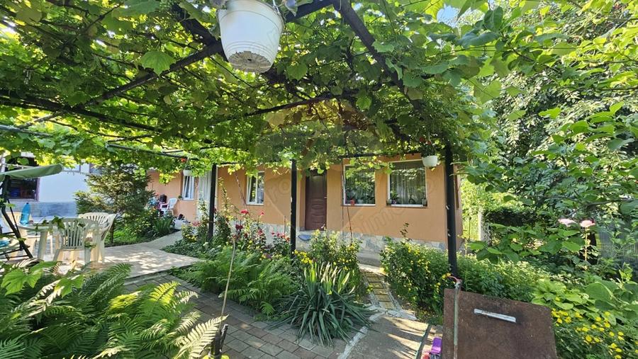 Casă cu Teren 1043 Mp în Dochia