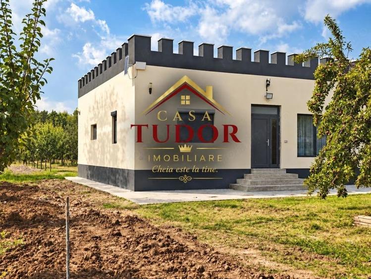 Casă cu Teren 6000 Mp în Bunești (Cotmeana)