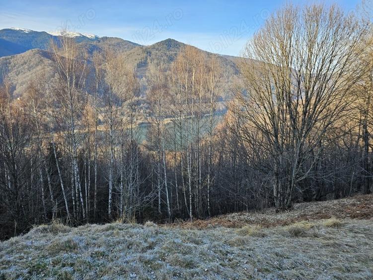 Teren de 10000 mp, în Poiana