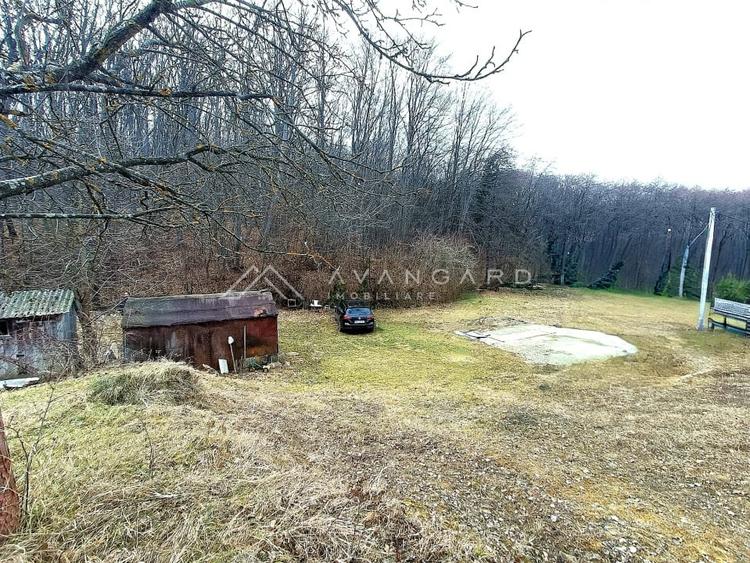 Teren Construcții intravilan de 1195 mp, în Făget