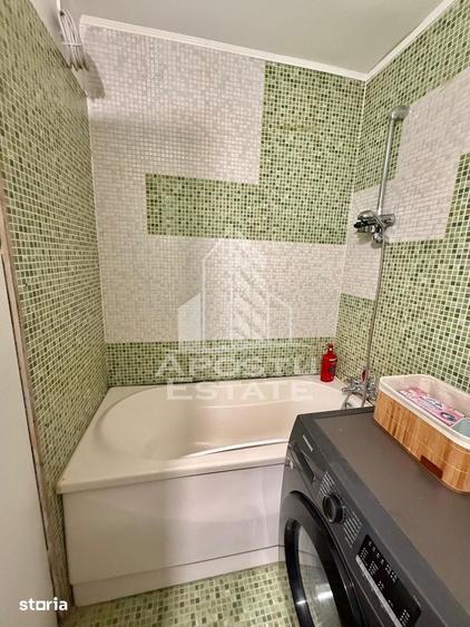Apartament cu 1 camera de inchiriat, petfriendly, Sagului, Timisoara - 8