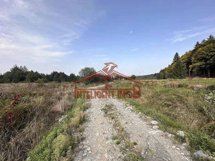 Teren de 2878 mp, în Sâmbăta de Sus