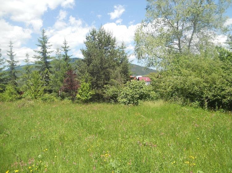 Teren de 10000 mp, în Central