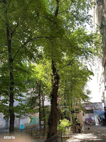 Apartament cu 3 camere în Centrul Istoric