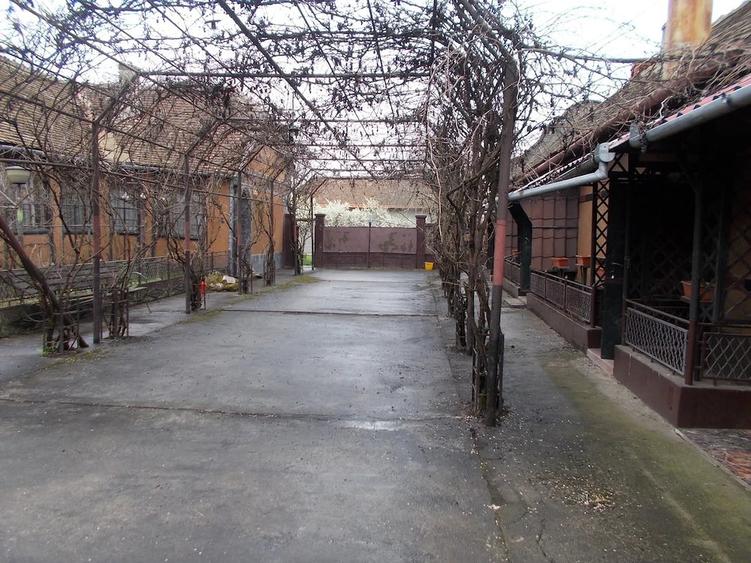 Casă cu 3 camere cu Teren 1689 Mp în Pădureni