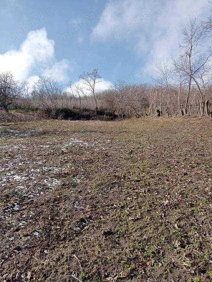 Casă cu 2 camere cu Teren 1000 Mp în Central