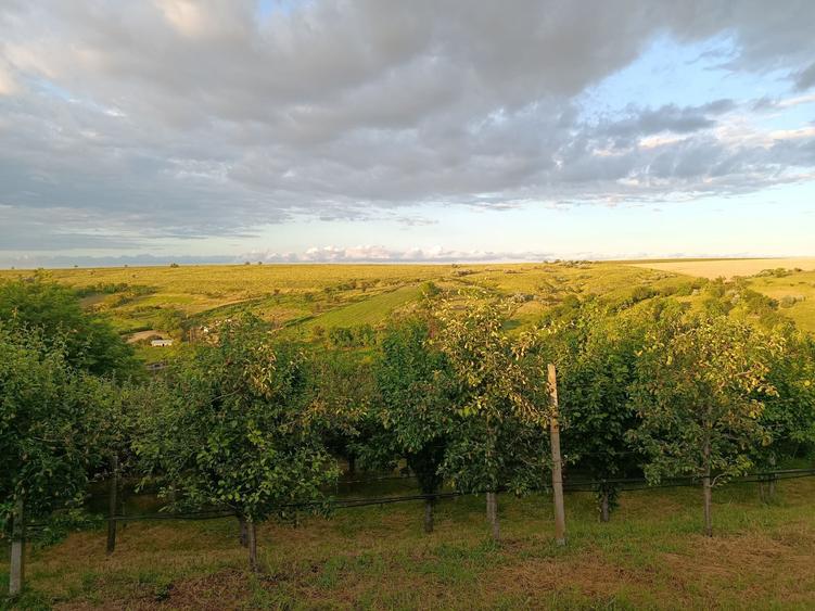 Casă cu 4 camere în Esechioi