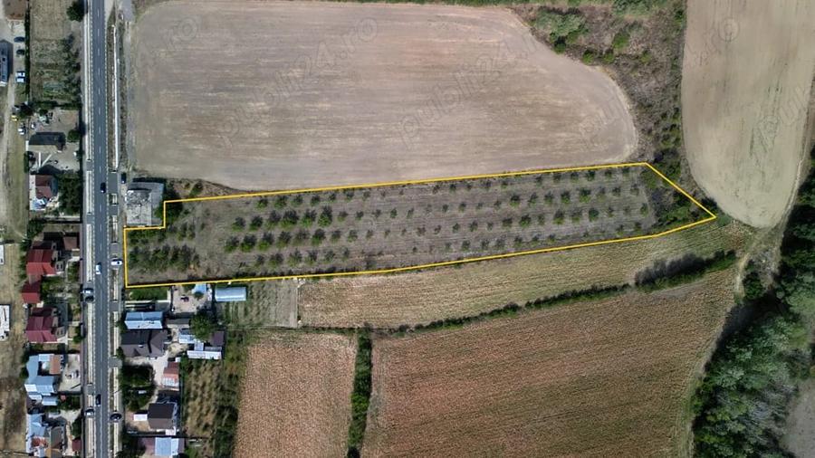 Teren de 9654 mp, în Dobra