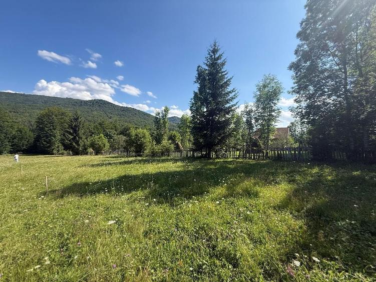 Teren Construcții intravilan de 1662 mp, în Trăisteni