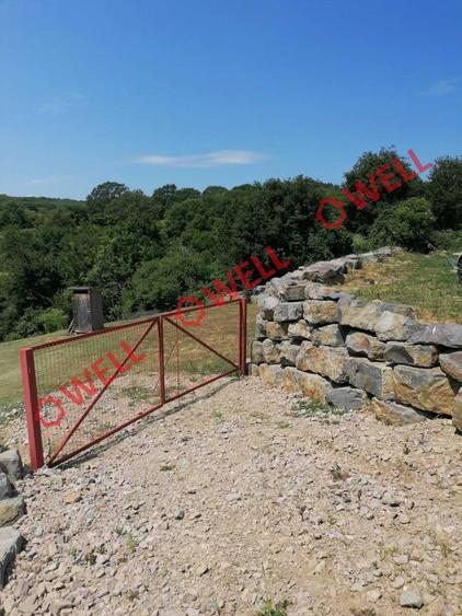Teren agricol intravilan de 1523 mp, în Calnic