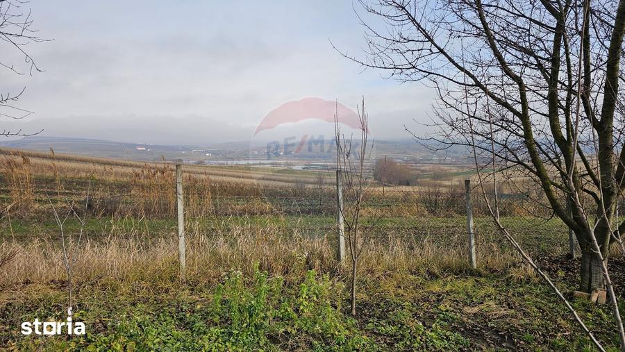 Teren de 10791 mp, în Fălticeni