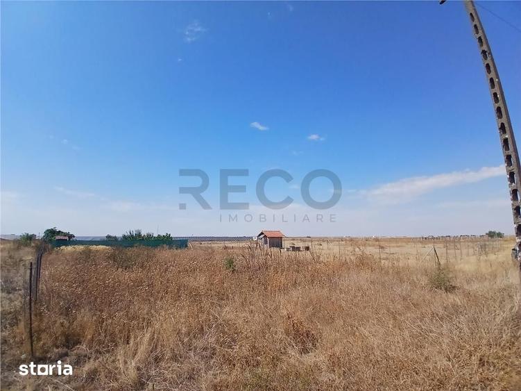 RECO Teren intravilan 500 mp Livada de bihor - 4
