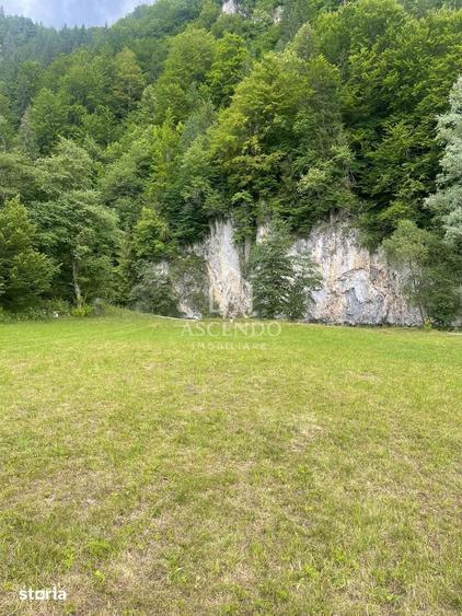 Teren Investi?ie Turistica Dambovicioara Baranga | 4.500 mp - 3