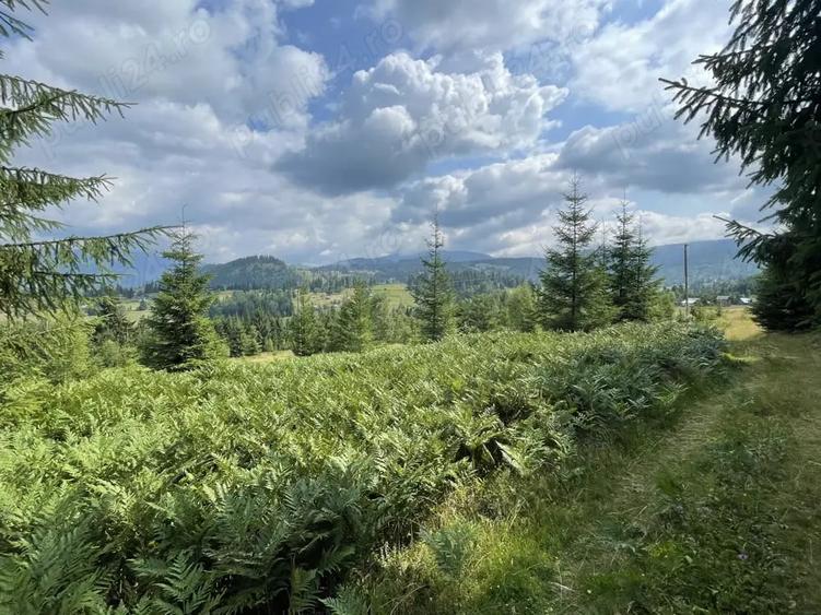 Teren de 5000 mp, în Cozănești