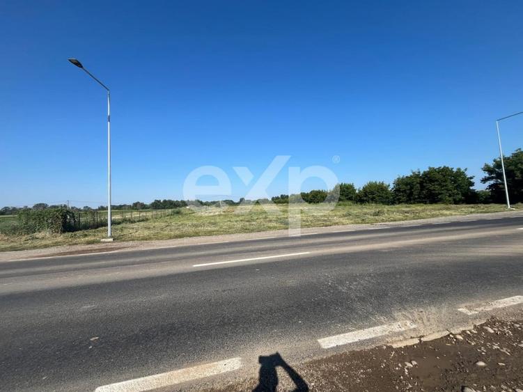 Teren intravilan premium 15.000 mp la DN61 langa Centura G - 3