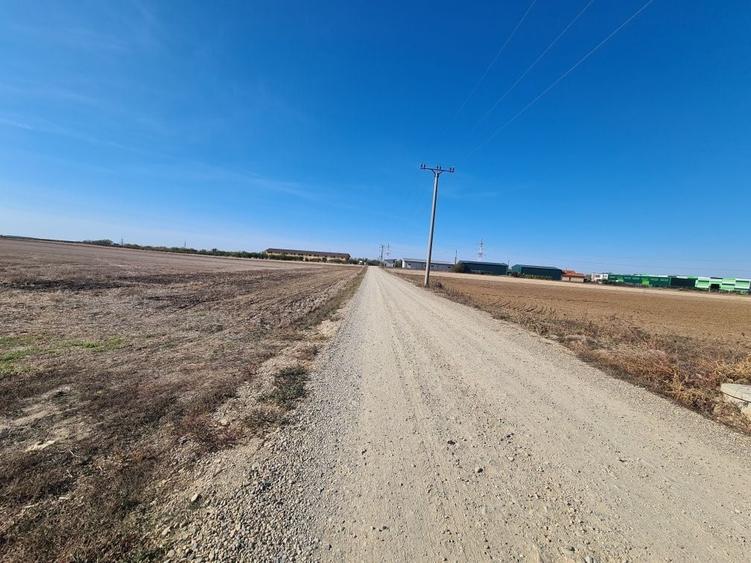 Teren de 66400 mp, în Biharia