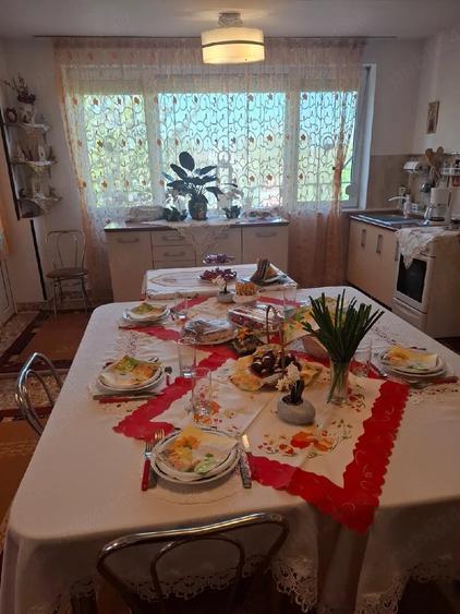 Casă cu 4 camere cu Teren 3000 Mp în Ghioroc