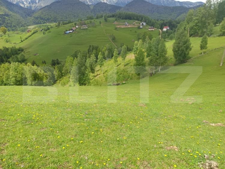 Casă individuală cu 2 camere cu Teren 4807 Mp în Peștera