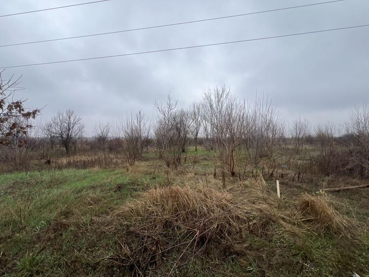 Teren Construcții extravilan de 8874 mp, în Tărtășești