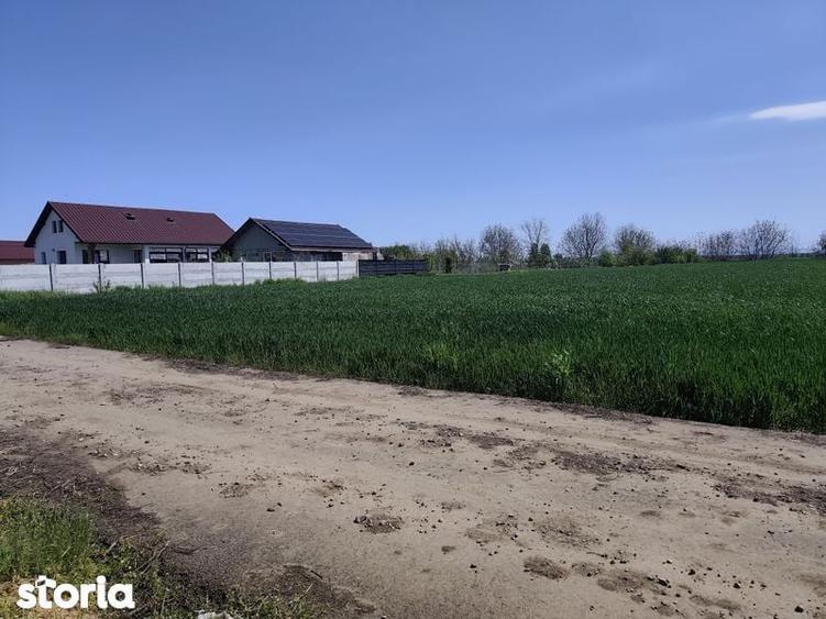 Teren de vanzare 2500 mp, Martacesti, Braila - 6