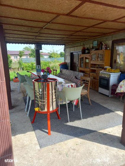 Casa baraneasca + 9300mp teren (livada) zona sat Ziduri jud. Buzau - 19