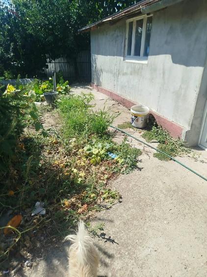 Casă cu 2 camere cu Teren 1050 Mp în Școlilor