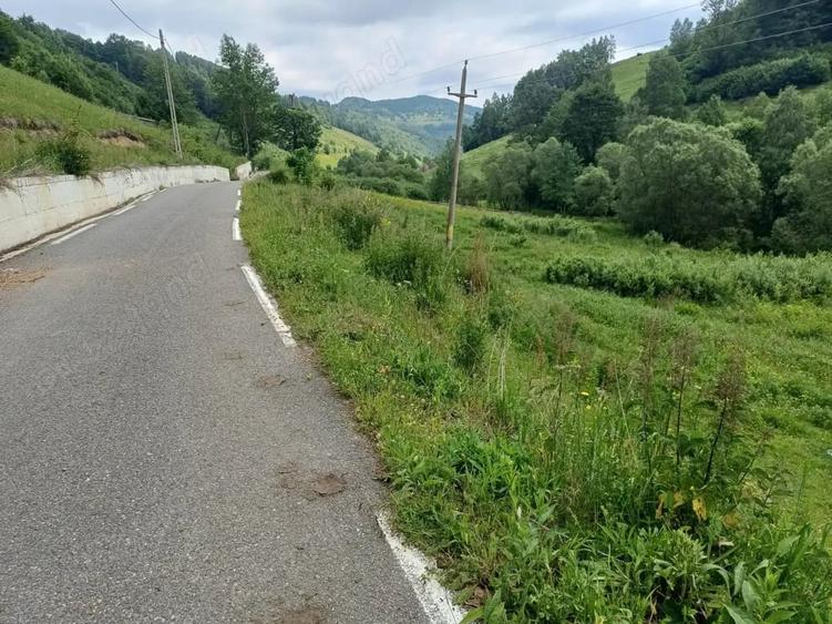 Teren de 3500 mp, în Muntele Băișorii