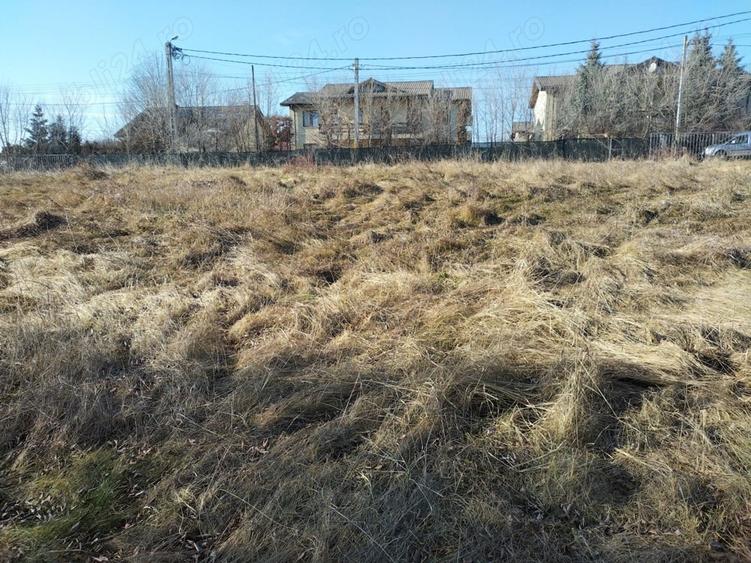 Teren de 1750 mp, în Bucium