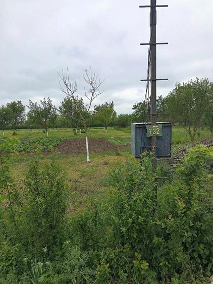 Teren de 1440 mp, în Țipar