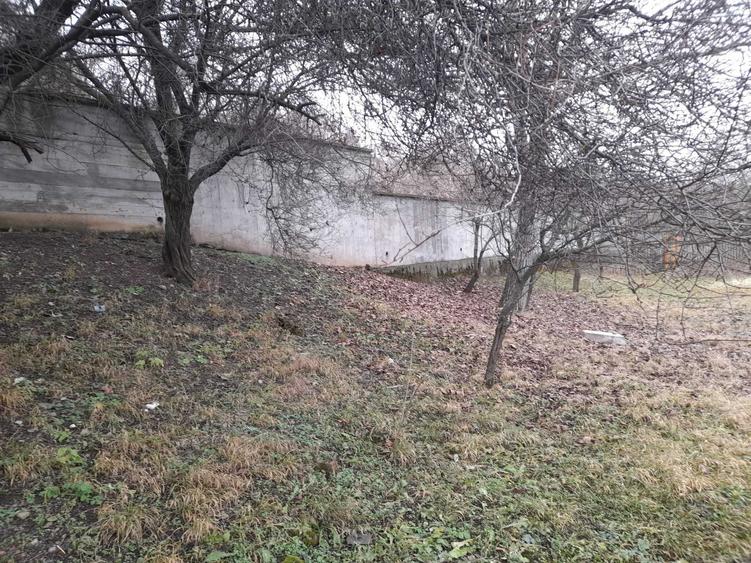 Teren cu Casa de vanzare in localitatea Ion Luca Caragiale pe dn72 - 3