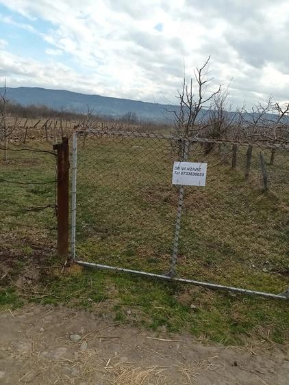 Teren de 2500 mp, în Dragodănești