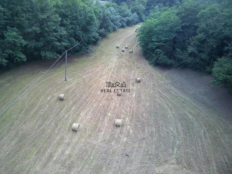 Teren de 5800 mp, în Podele