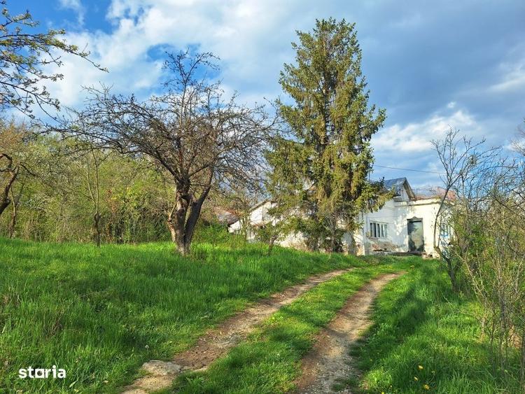 Casă cu 4 camere cu Teren 5950 Mp în Scorțeni
