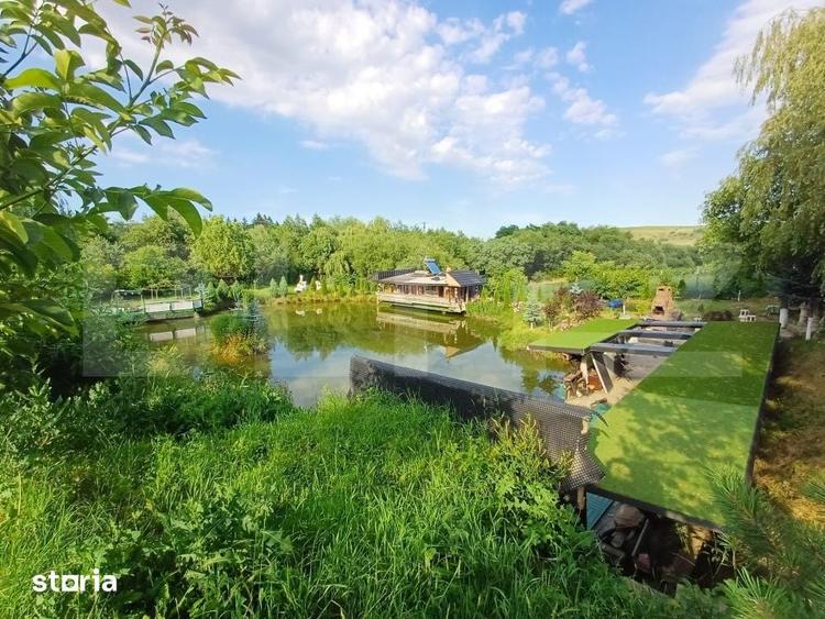 Teren intravilan 60 ari cu iaz si cabana, zona Ilisesti - 2