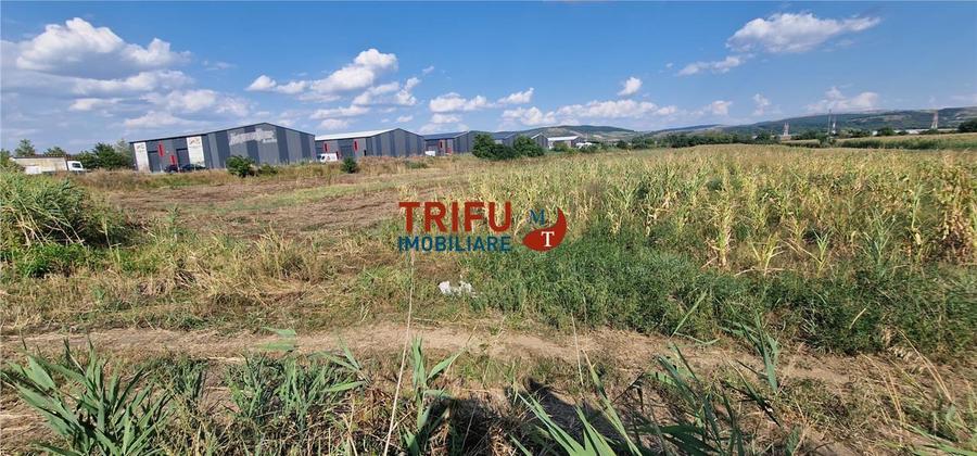 Teren Construcții intravilan de 5756 mp, în Ampoi 1