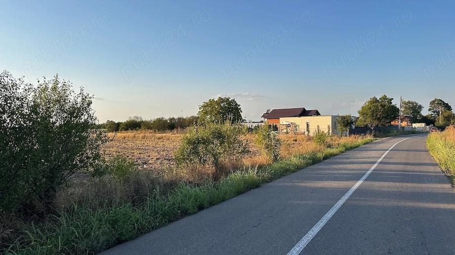 Teren de 6700 mp, în Olteni (Uliești)
