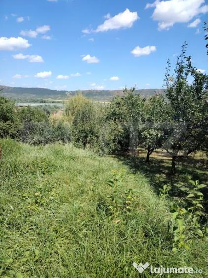Casă cu 3 camere cu Teren 3900 Mp în Luna