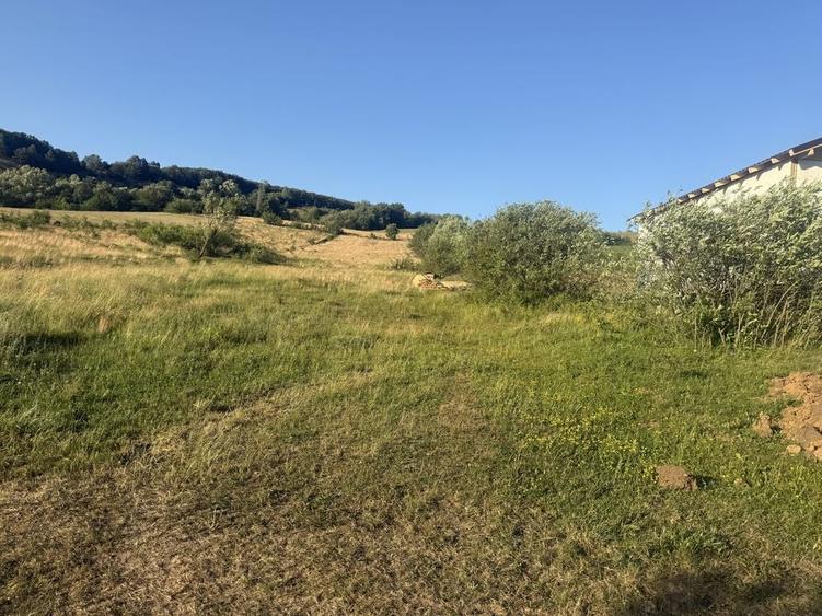 Teren de 7300 mp, în Șardu