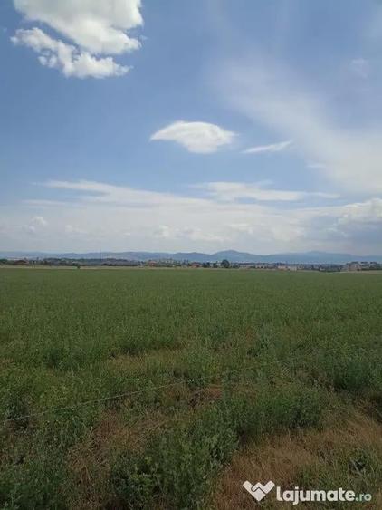 De vanzare terenuri extravilane in Sfantu Gheorghe - 8