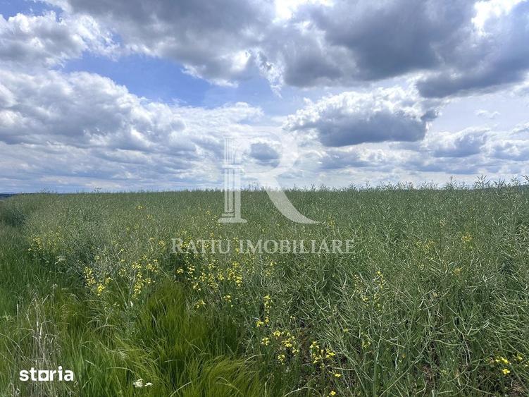 Teren de 4652 mp, în Oșorhei
