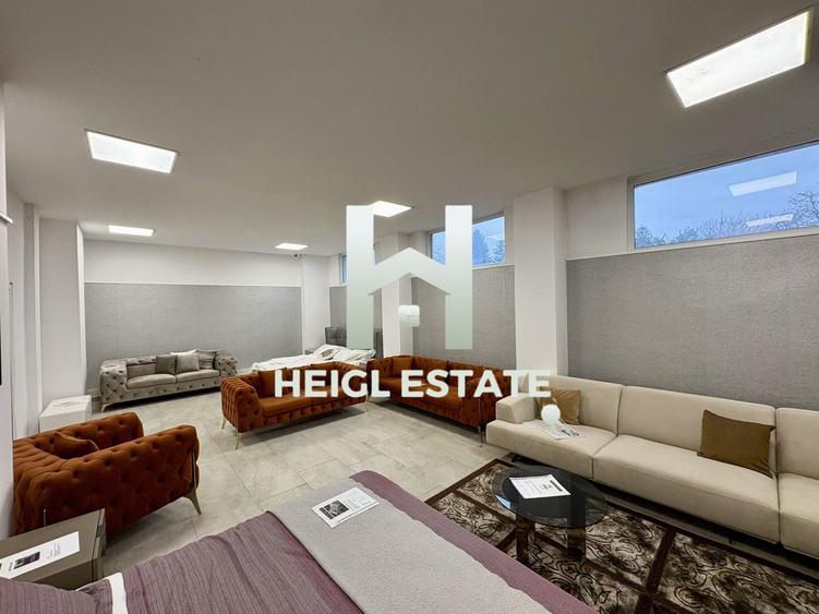 Spațiu comercial, de 470 mp, în Șagului